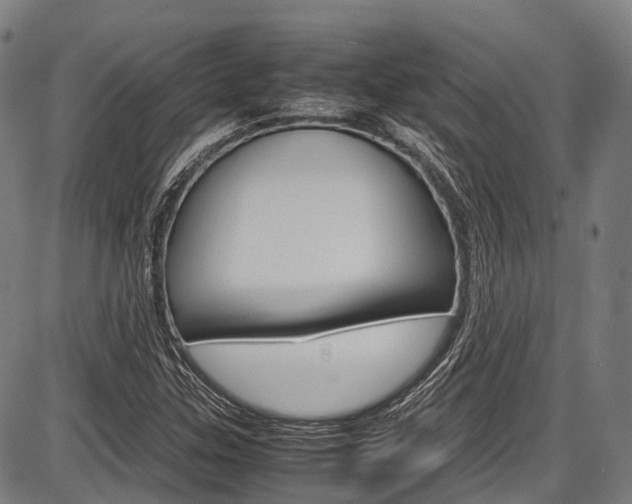 X0000087621307200704271127