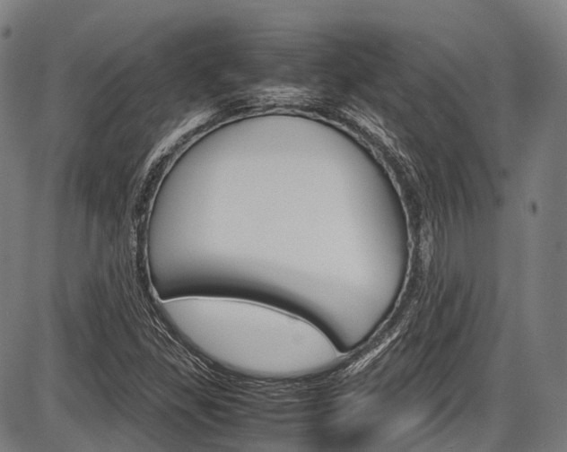 X0000087621309200704271127