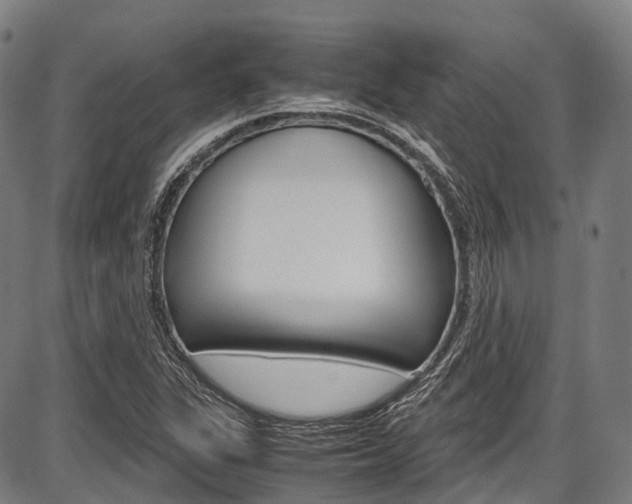 X0000087621311200704271127