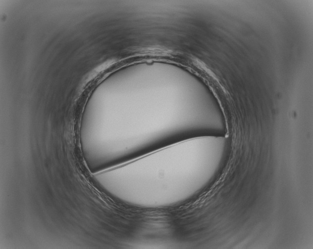 X0000087621315200704271127