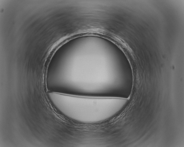 X0000087621316200704271127