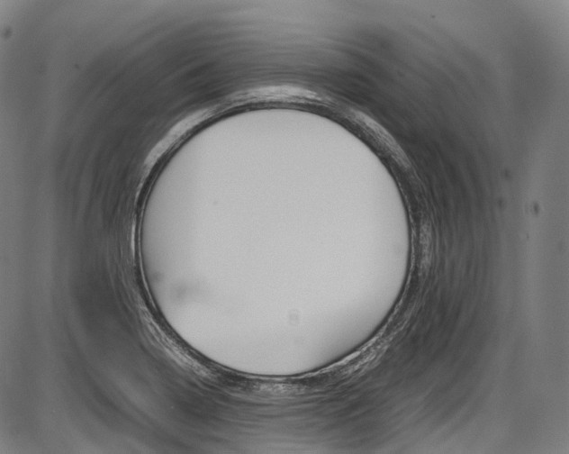 X0000087621322200704271127
