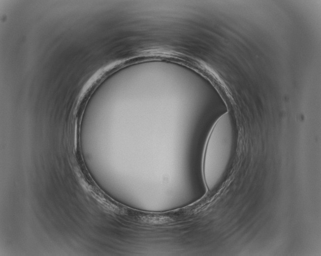 X0000087621323200704271127