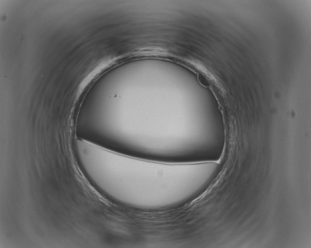 X0000087621325200704271127
