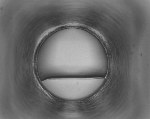 X0000087621327200704271127