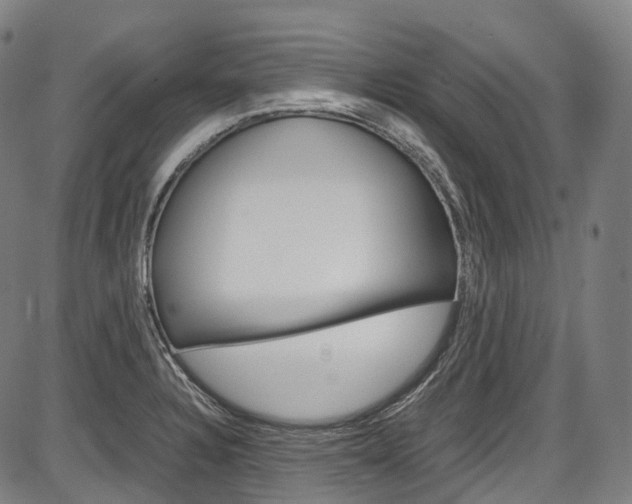 X0000087621328200704271127