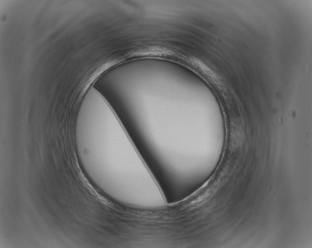 X0000087621329200704271127