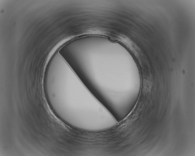 X0000087621331200704271127