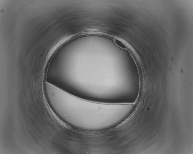X0000087621333200704271127