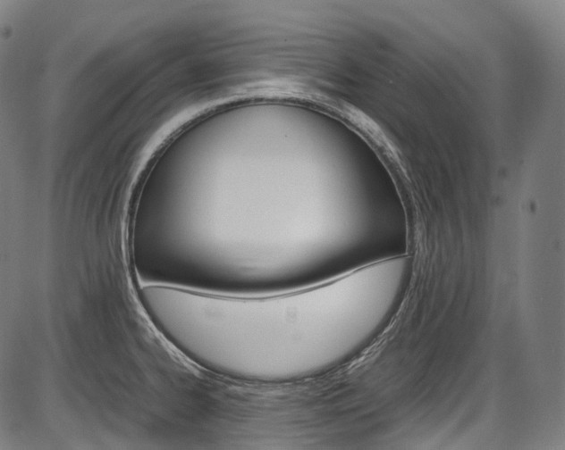 X0000087621334200704271127