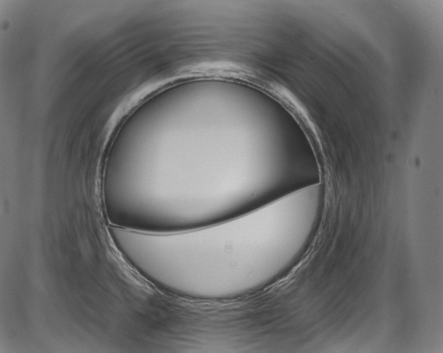X0000087621336200704271127