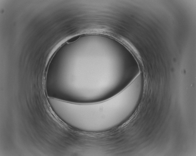 X0000087621340200704271127