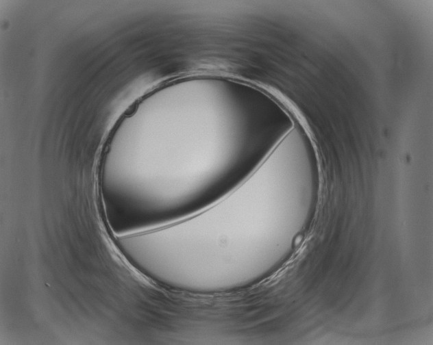 X0000087621341200704271127