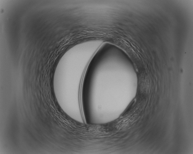 X0000087621345200704271127