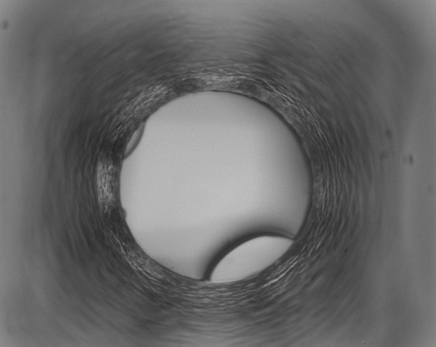 X0000087621346200704271127