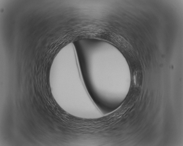 X0000087621347200704271127