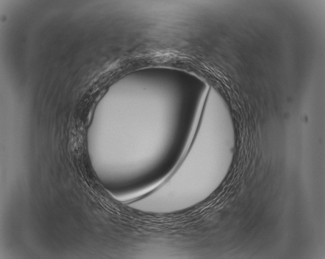 X0000087621349200704271127