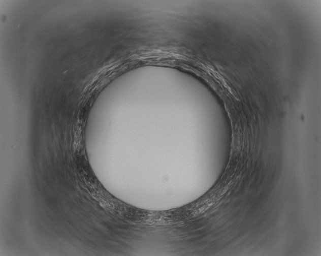X0000087621350200704271127