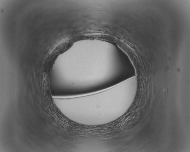 X0000087621351200704271127