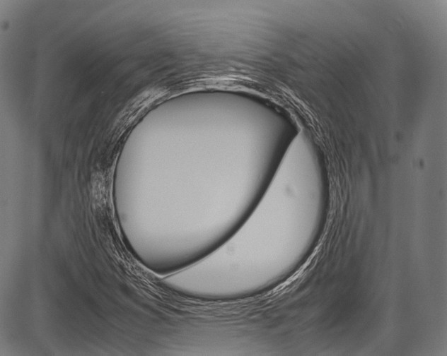 X0000087621353200704271127