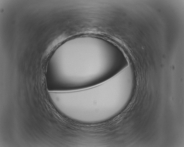 X0000087621359200704271126