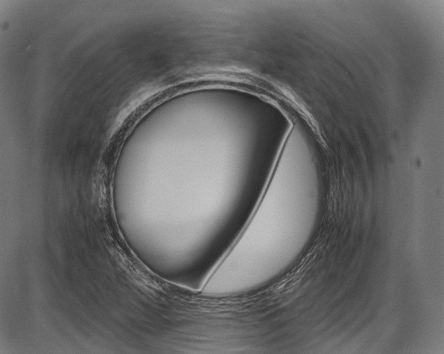 X0000087621360200704271126