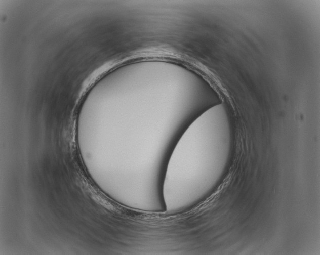X0000087621366200704271126