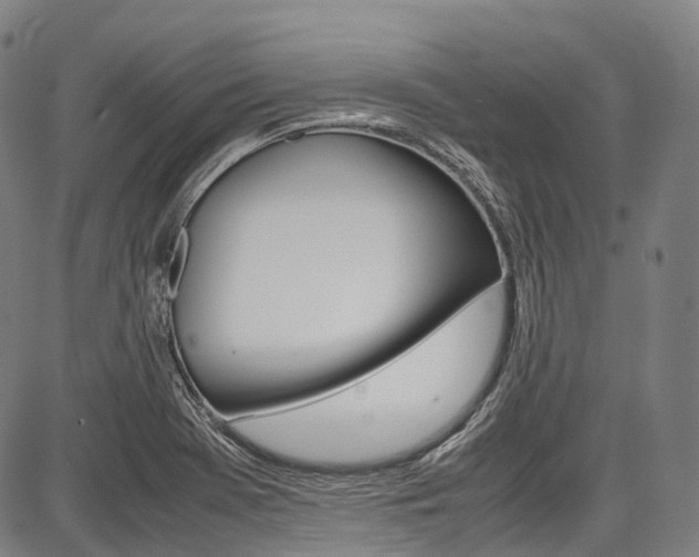 X0000087621369200704271126