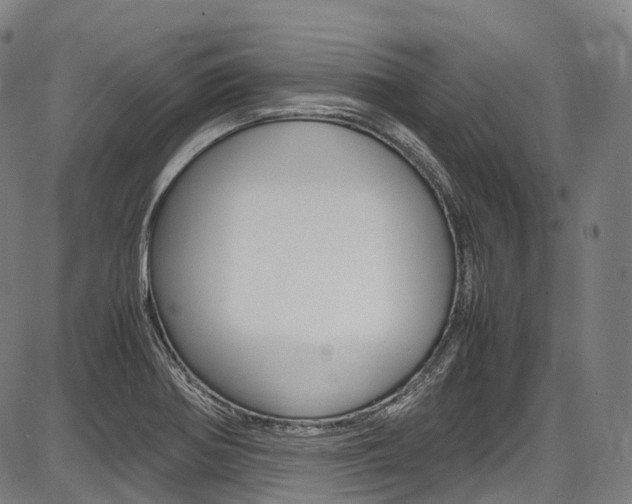 X0000087621370200704271126