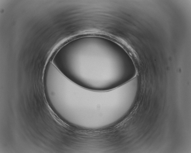 X0000087621372200704271126