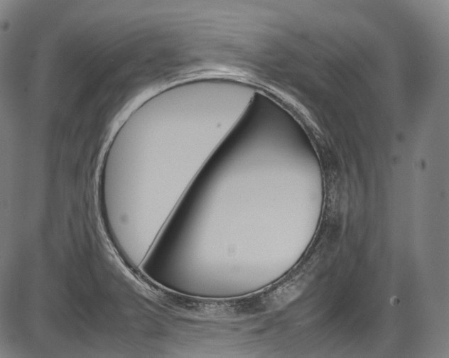 X0000087621375200704271126