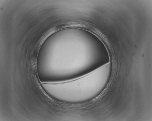 X0000087621377200704271126