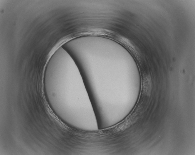 X0000087621378200704271126
