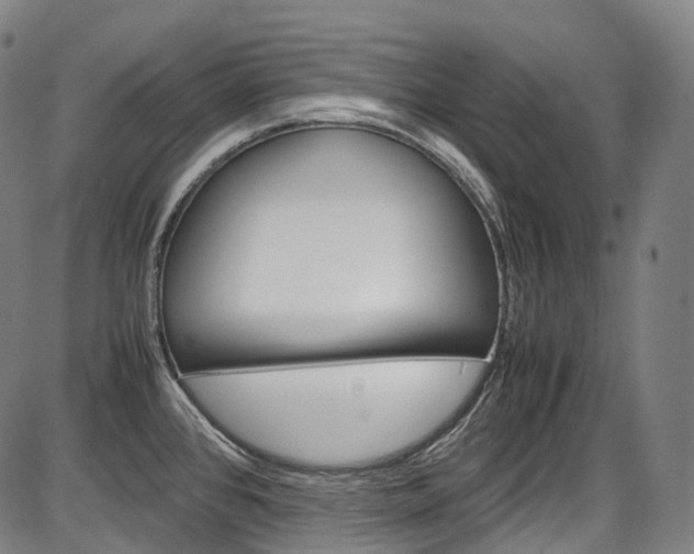 X0000087621384200704271126