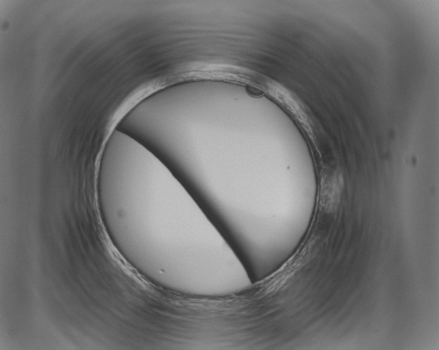 X0000087621386200704271126