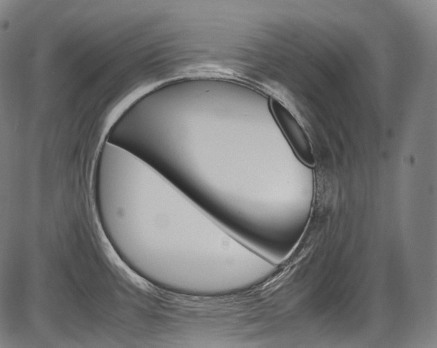 X0000087621387200704271126