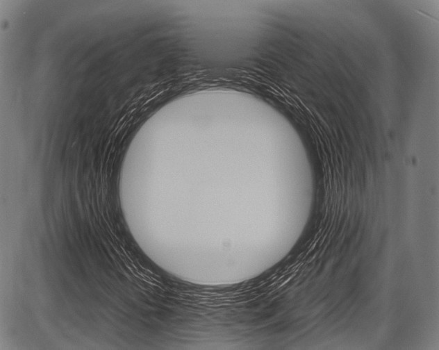 X0000087621394200704271125