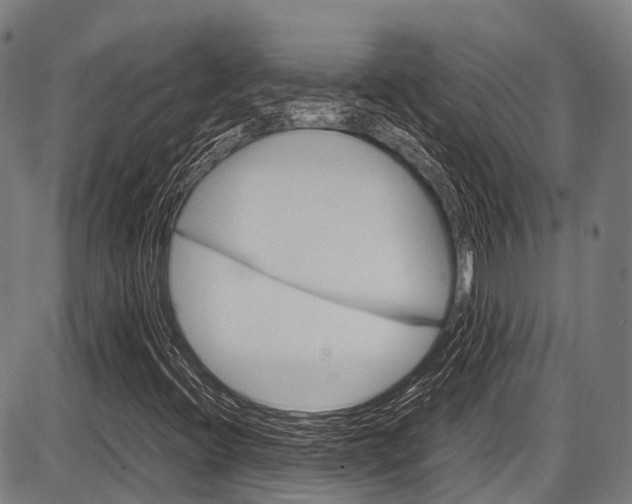 X0000087621396200704271125