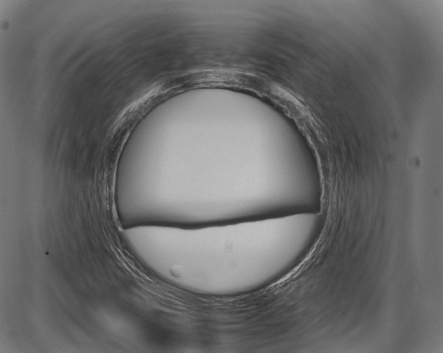 X0000087621403200704271125