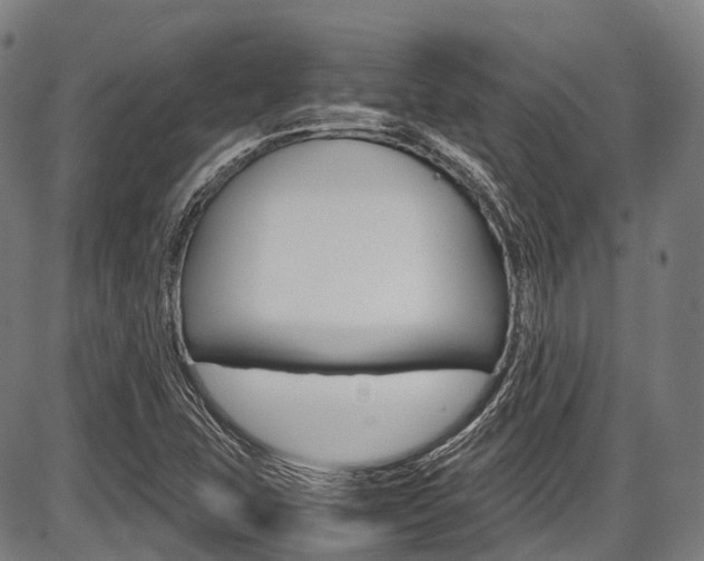 X0000087621407200704271125