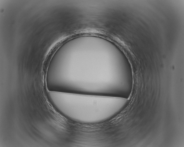 X0000087621408200704271125