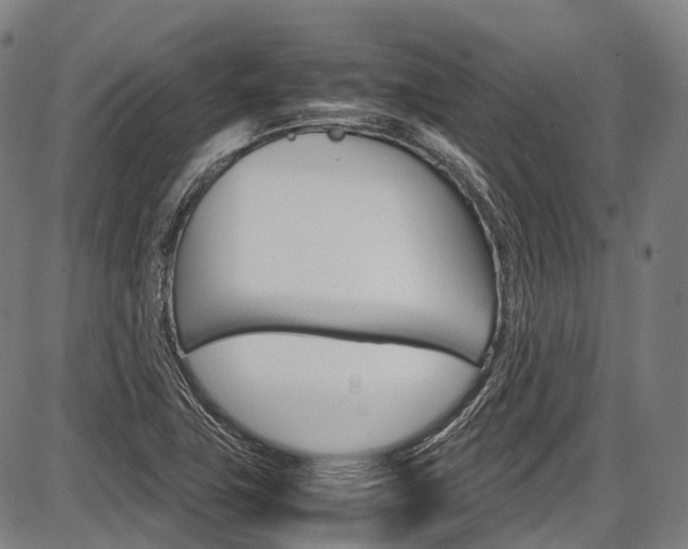 X0000087621411200704271125