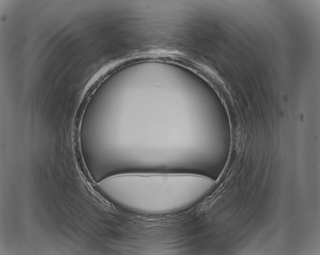 X0000087621412200704271125