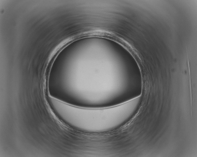 X0000087621418200704271126