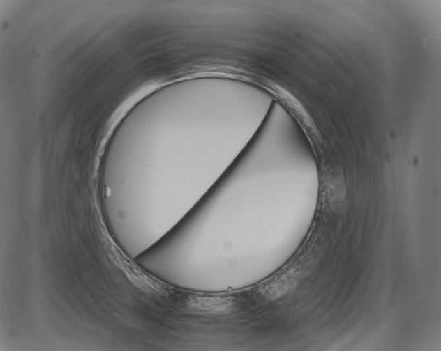 X0000087621427200704271126