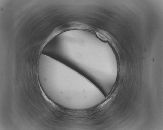 X0000087621433200704271126