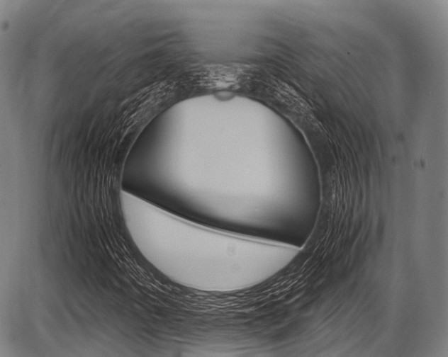 X0000087621442200704271125