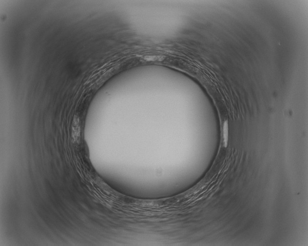 X0000087621443200704271125