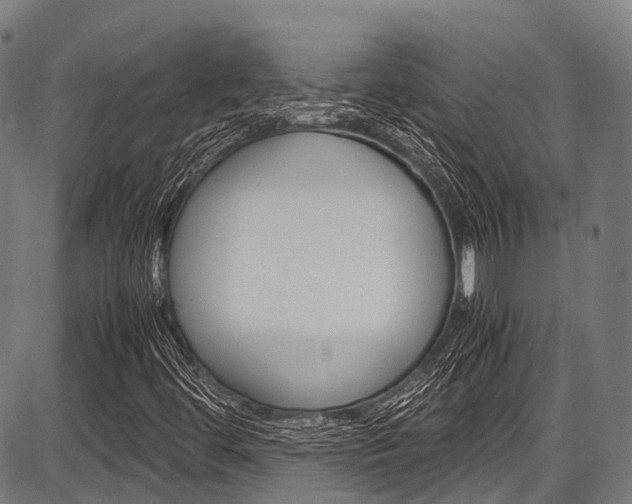 X0000087621444200704271125