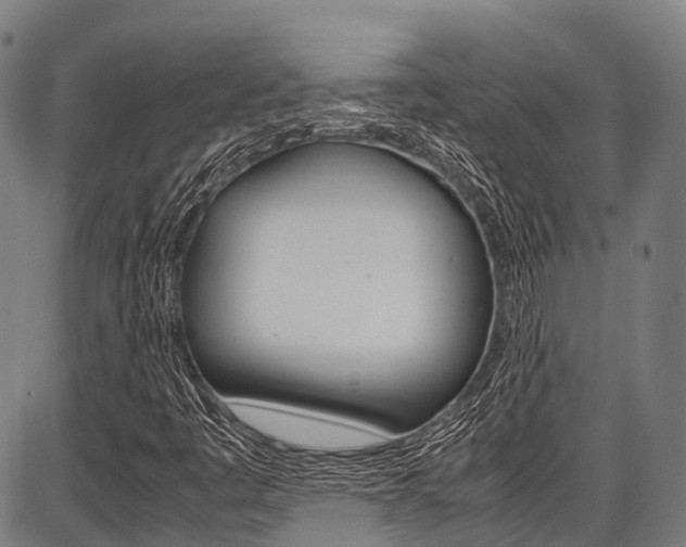 X0000087621445200704271125